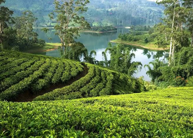 Hatton, Sri Lanka
