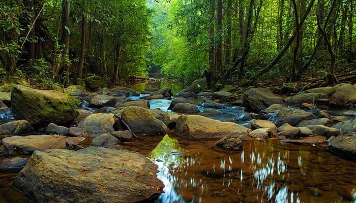 Sinharaja, Sri Lanka